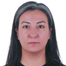 Media Image
